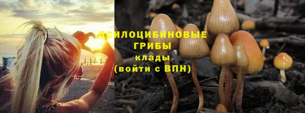 гидра Алзамай