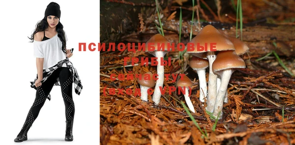ALPHA-PVP Алексин