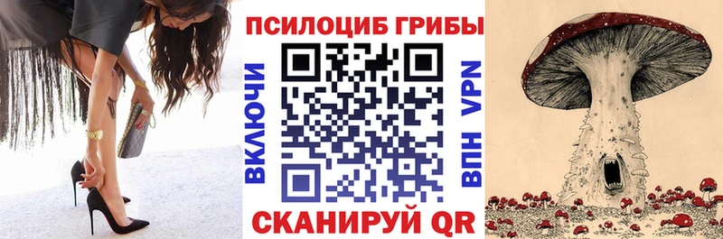 Галлюциногенные грибы GOLDEN TEACHER  дарнет шоп  Ардон 